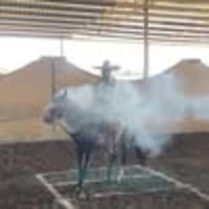 Meet your Posher, Roberto